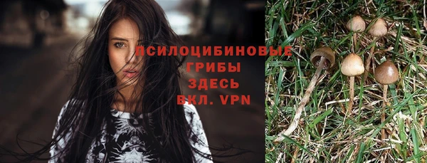 СК Заводоуковск