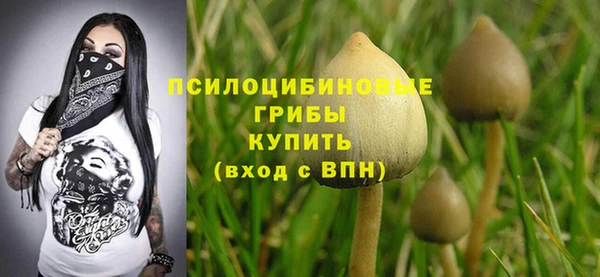 гашик Заволжск